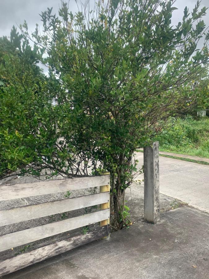 דירות Ducos Caraibes Loc מראה חיצוני תמונה